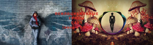 2c-b Богданович