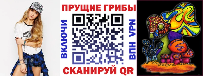Галлюциногенные грибы Psilocybine cubensis Купить закладки Бугульма